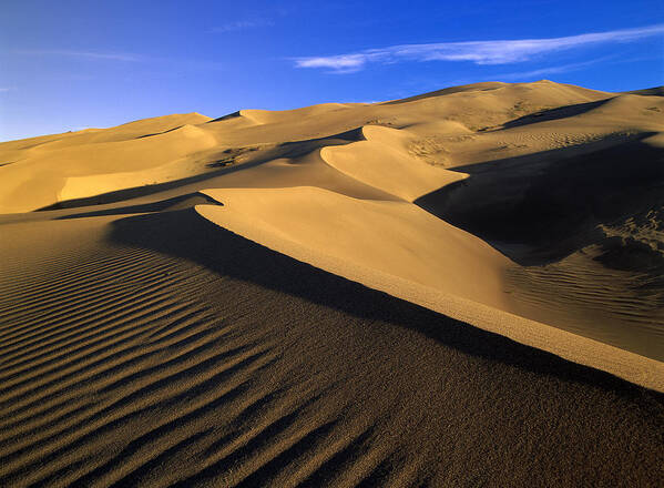 00175058 Art Print featuring the photograph 750 Foot Tall Sand Dunes Tallest by Tim Fitzharris