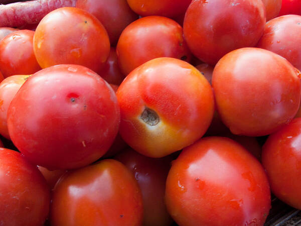 Food Art Print featuring the photograph A pile of luscious bright red tomatoes by Ashish Agarwal