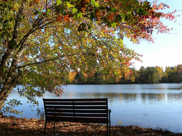 Bench.seat Art Print featuring the photograph A Place For Thanks Giving by Sandi OReilly