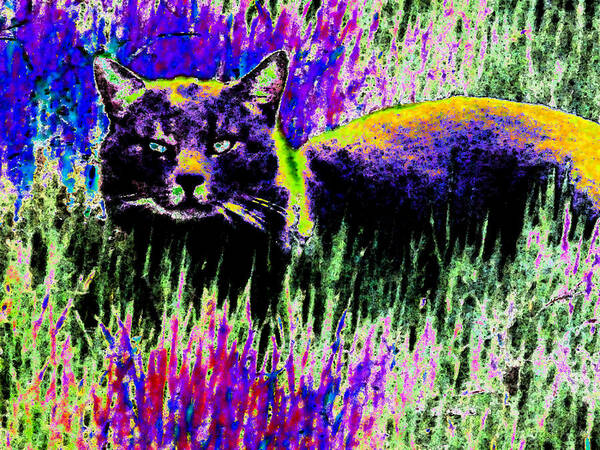 Cat Art Print featuring the digital art Abstract Of Tabby by Eric Forster