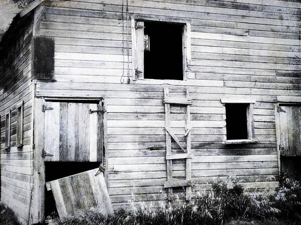 Barn Art Print featuring the photograph Aging Barn by Julie Hamilton