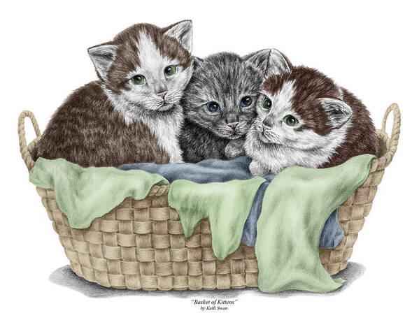 Cat Art Print featuring the drawing Basket of Kittens - Cats Art Print color tinted by Kelli Swan