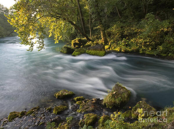 Big Spring Art Print featuring the photograph Big Spring by Reva Dow