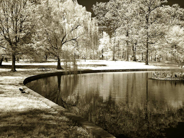 Photo Art Print featuring the photograph Bryant Pond 2 by Alan Hausenflock