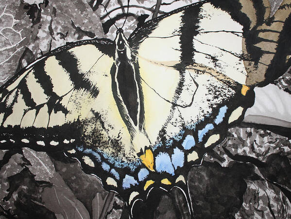 Butterfly Art Print featuring the painting Callaway Tiger Swallowtail Butterfly by Beth Parrish