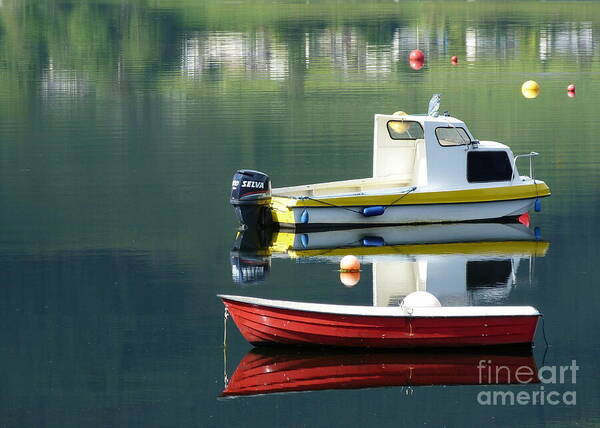 Rowing Art Print featuring the photograph Calm Waters by Lynn Bolt