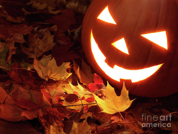 Halloween Art Print featuring the photograph Carved Pumpkin on Fallen Leaves by Maxim Images Exquisite Prints
