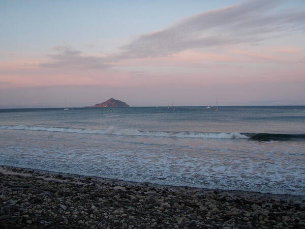  Art Print featuring the photograph Channel Island Beach by Mark Norman