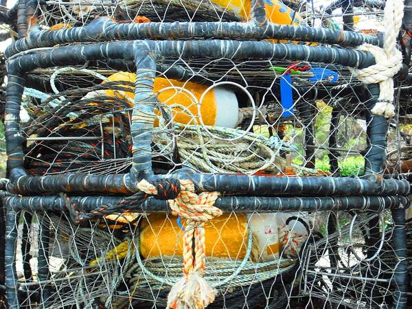 California Art Print featuring the photograph Crab Traps in Bodega Bay by Kelly Manning