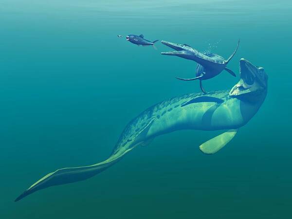 Enchodus Art Print featuring the photograph Cretaceous Marine Predators, Artwork by Walter Myers