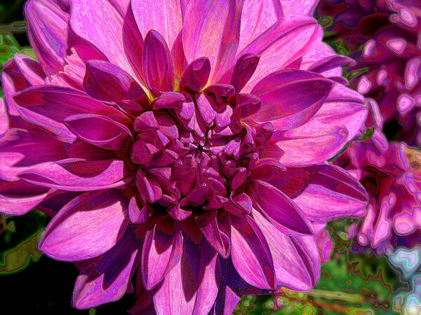 Floral Art Print featuring the photograph Dahlia Describes The Color Pink by Lora Fisher