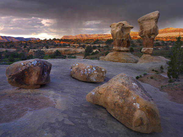 00175255 Art Print featuring the photograph Devils Garden Sandstone Formations by Tim Fitzharris