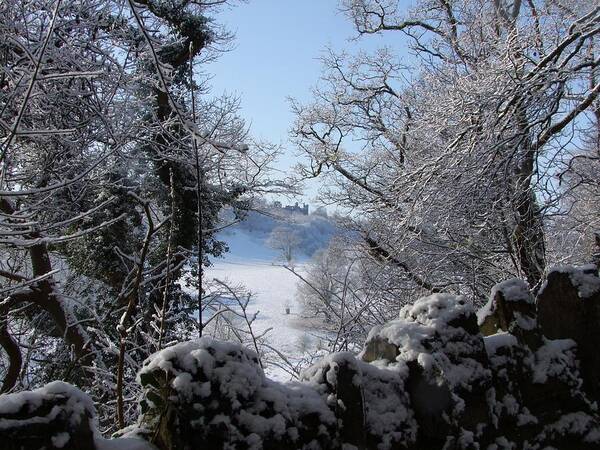 Snow Art Print featuring the photograph Dinefwr Castle Between Trees-01 by Pat Bullen-Whatling