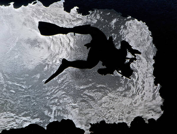 Diver Silhouette Art Print featuring the photograph Diver Exit by Bill Owen