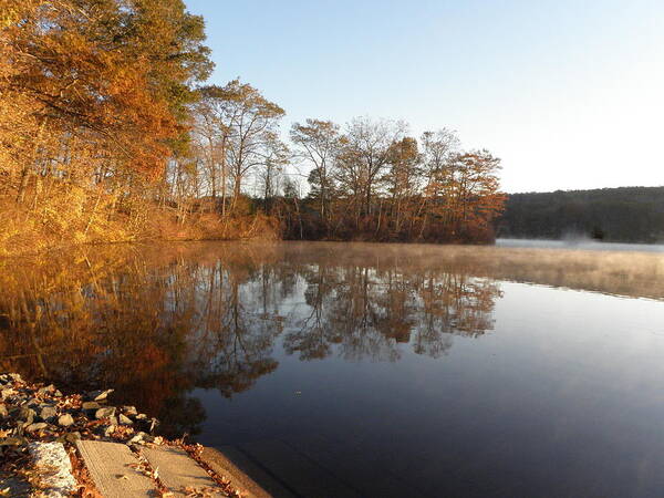 Dock Art Print featuring the photograph dockside in November by Kim Galluzzo