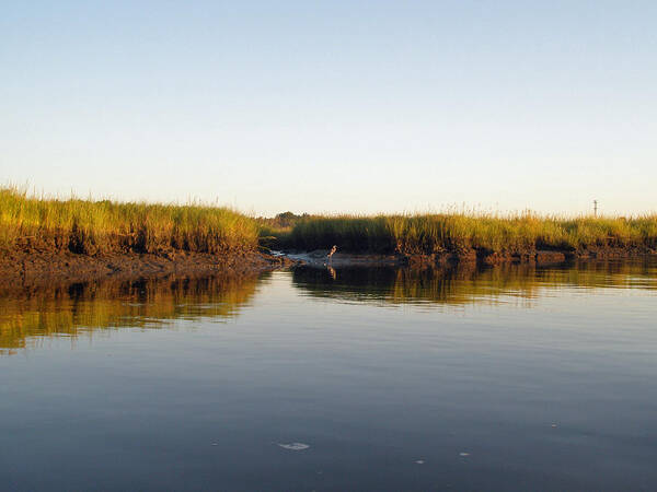 Creek Art Print featuring the photograph Early Morning on the Tidal Creek by Carol Senske