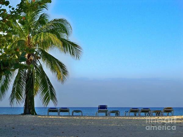 Palm Art Print featuring the photograph Early Morning Trinidad Cuba by Lynn Bolt