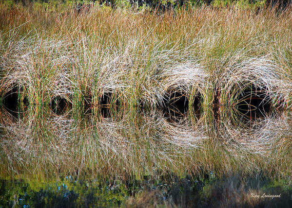 Nature Scene Art Print featuring the photograph Escape Hatches by Kay Lovingood