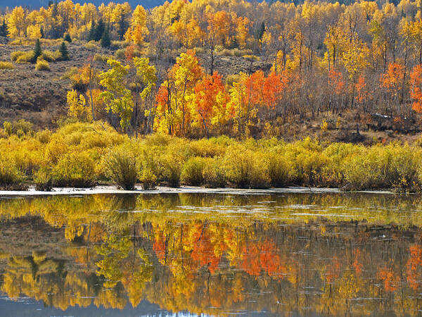 Water Art Print featuring the photograph Fall On The Marsh by DeeLon Merritt