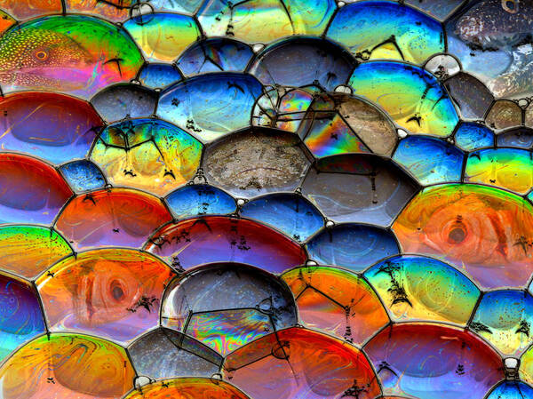 Bubbles Art Print featuring the photograph Fishy bubbles by Jean Noren