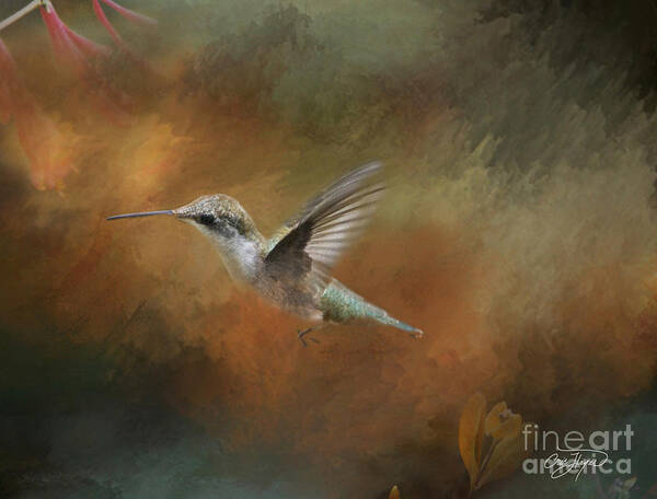 Flight Of The Angel Feature Art Print featuring the photograph Flight of the Angel by Cris Hayes