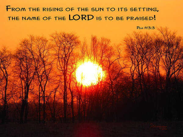 Bible Art Print featuring the photograph From The Rising by Ericamaxine Price