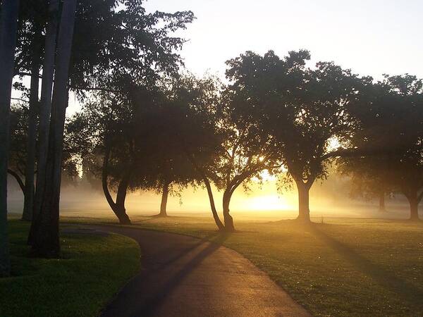 Sunrise Art Print featuring the photograph Good Morning World by Sheila Silverstein