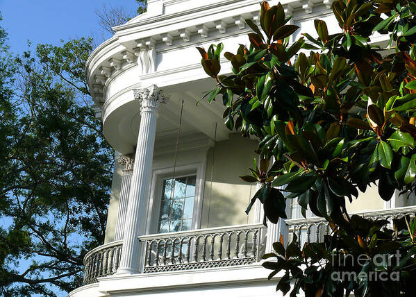 White House Art Print featuring the photograph Grand House With Magnolia Tree by Jeanne Woods