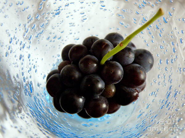 Biot Art Print featuring the photograph Grape Cluster in Biot Glass by Lainie Wrightson