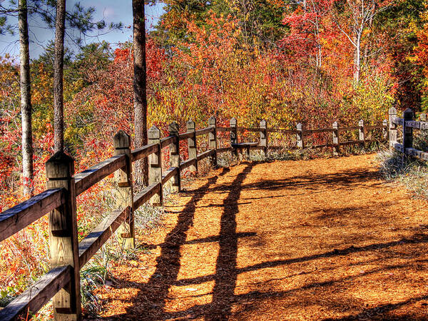Fall Art Print featuring the photograph HDR- Fenced Path by Joe Myeress