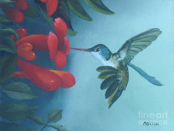 Hummingbird Paintings Art Print featuring the painting Hummingbird Feeding by Michael Allen