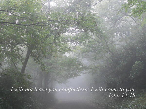 John 14:18 Art Print featuring the photograph I Will Not Leave You Comfortless by Diannah Lynch