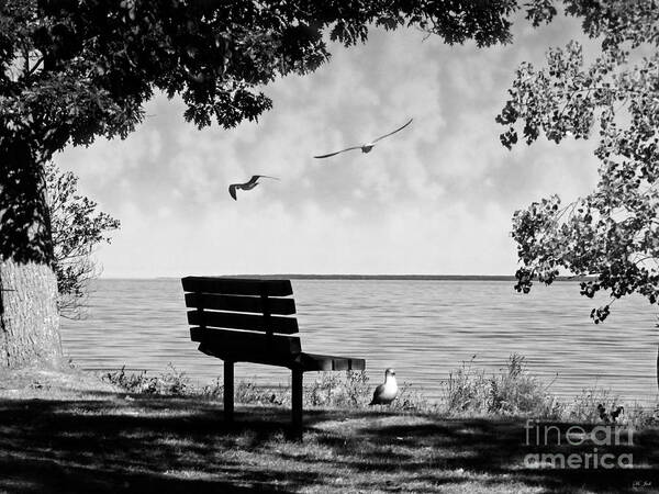 Landscape Art Print featuring the photograph In Flight by Ms Judi