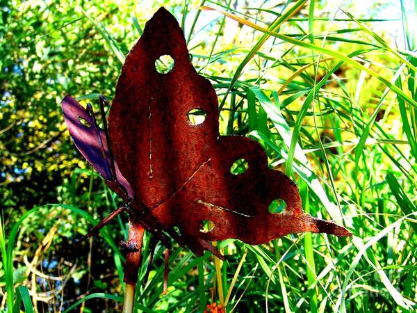 Still Life Art Print featuring the photograph Iron Butterfly by Megan Ford-Miller