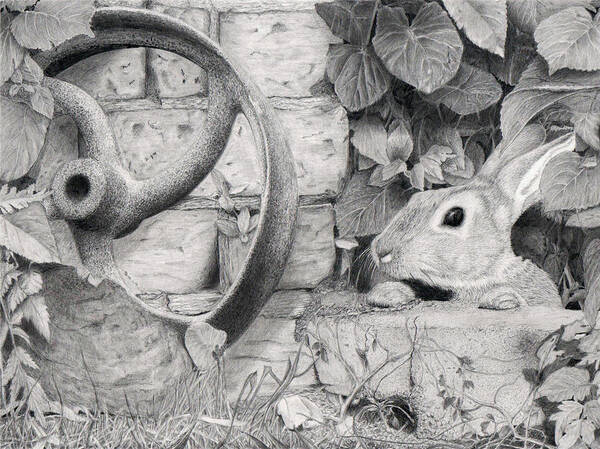 Rabbit Art Print featuring the drawing Jack Rabbit by Alexandra Riley