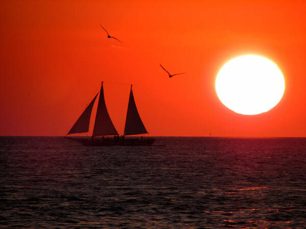  Sunrise Art Print featuring the photograph Key West Sunset by Joe Myeress