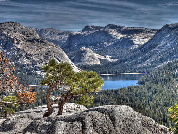 Yosemite Art Print featuring the photograph Lake Tenaya from Olmsted Point by Joe Schofield