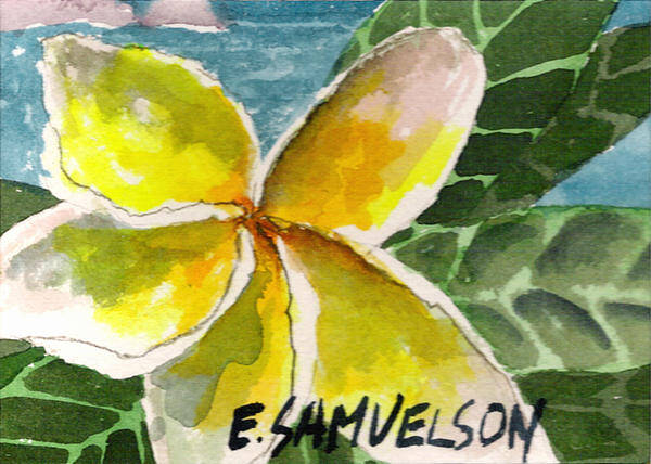 Hawaiian Flower Art Print featuring the painting Lei Pua by Eric Samuelson