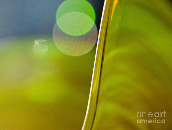 Lime Art Print featuring the photograph Lime Abstract Two by Dana Kern