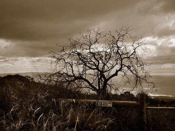 Maui Art Print featuring the photograph Maui Storm by Marilyn Marchant