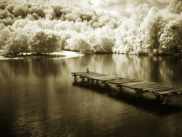 Photo Art Print featuring the photograph Mint Springs Lake - 4 by Alan Hausenflock