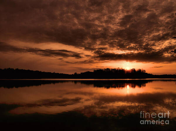 Water Art Print featuring the photograph Morning Glory by Terry Doyle