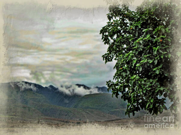 Maui Mountains Art Print featuring the photograph Mountain Time by Joan Minchak