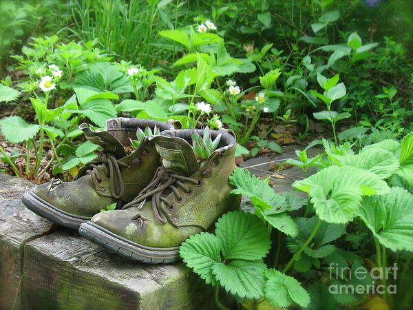 Strawberry Plants Art Print featuring the photograph My Favorite Boots by Nancy Patterson