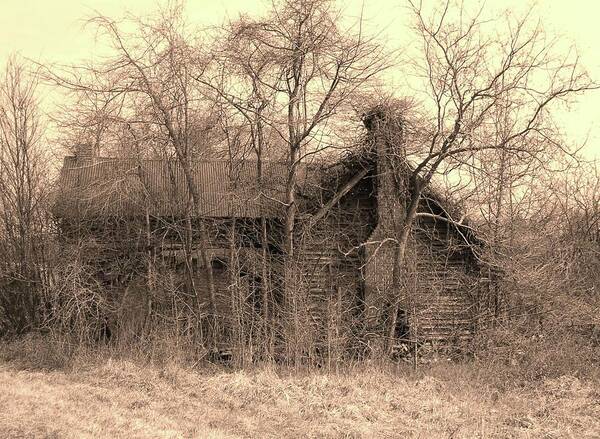 Old Art Print featuring the photograph Old House in Sepia by La Dolce Vita