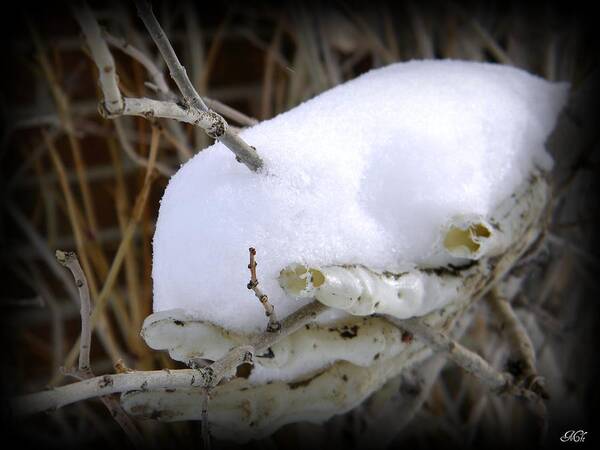 Snow Art Print featuring the photograph Old man winter's hand by Michelle Frizzell-Thompson