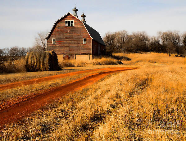 Old Barn Art Print featuring the photograph Old Red Road and Barn by Edward R Wisell