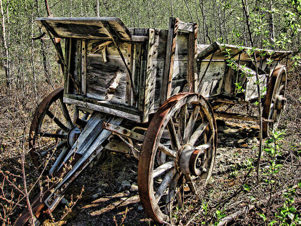 Wagon Art Print featuring the photograph Old Wagon by Fred Denner