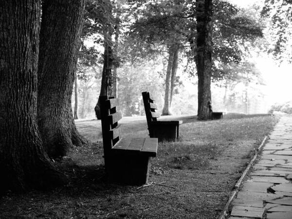 Black And White Art Print featuring the photograph Park Bench in Black and White by Lisa Lambert-Shank