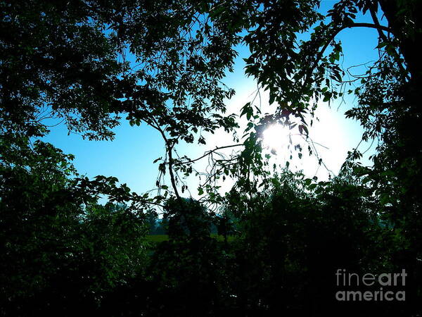 Landscape Mail Boxes Rustic Roate Nature City Wallpaper Sky Trees Light Art Print featuring the pyrography Peek a Boo by Big Mike Roate